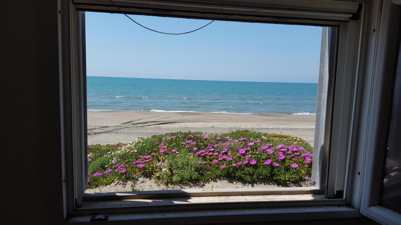 Ferienwohnung Casina Sulla Sabbia Torvaianica Exterior foto